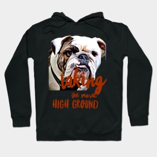 Taking the moral HIGH ground Hoodie